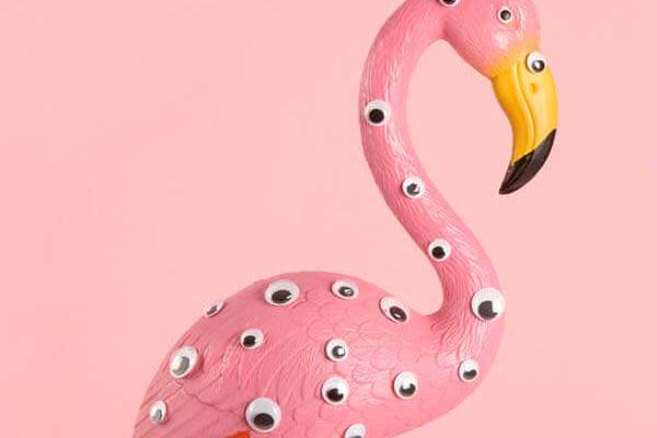 Flamingo covered with eyes